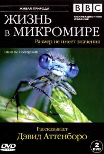 BBC: Жизнь в микромире ( 2005)