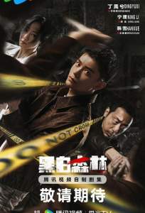 Чёрно белый лес (сериал 2024)